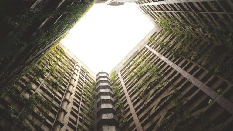 How To Verify That The 11Xplay Whatsapp Number Is Genuine?